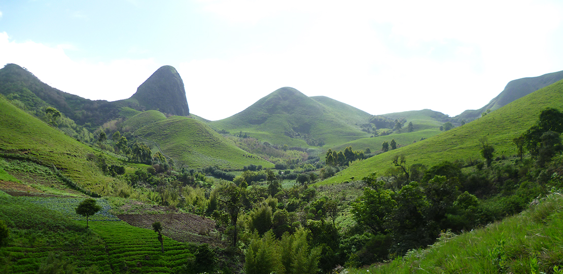 Lire la suite à propos de l’article L’économie florissante des montagnes du Bamboutos : Un aperçu sur la richesse et la diversité économique