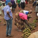 Les Jours de Marché dans les Bamboutos : Un Tour Coloré au Cœur de l’Économie Locale