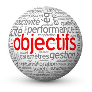 Globe - Nuage de Tags OBJECTIFS (équipe performance management)